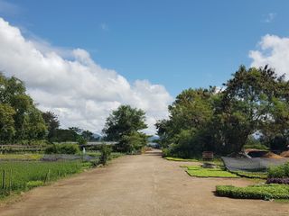 出售 土地 在 San Sai, Chiang Mai