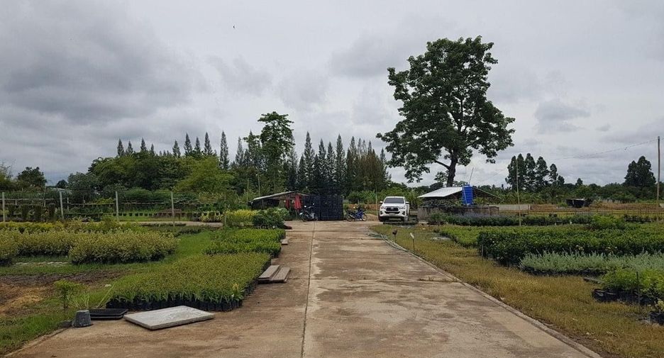 For sale land in San Sai, Chiang Mai