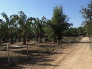 For sale land in San Pa Tong, Chiang Mai