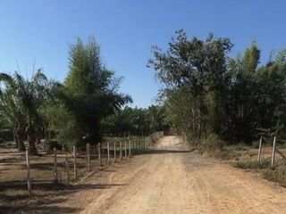 For sale land in San Pa Tong, Chiang Mai
