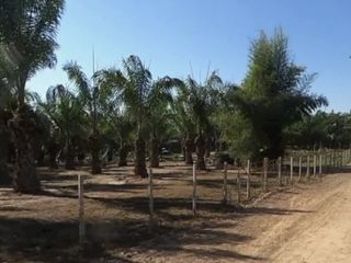 For sale land in San Pa Tong, Chiang Mai