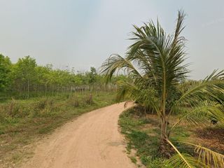 For sale land in Mae Taeng, Chiang Mai