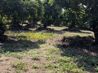 For sale land in Mae Taeng, Chiang Mai