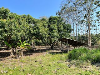 For sale land in Mae Taeng, Chiang Mai