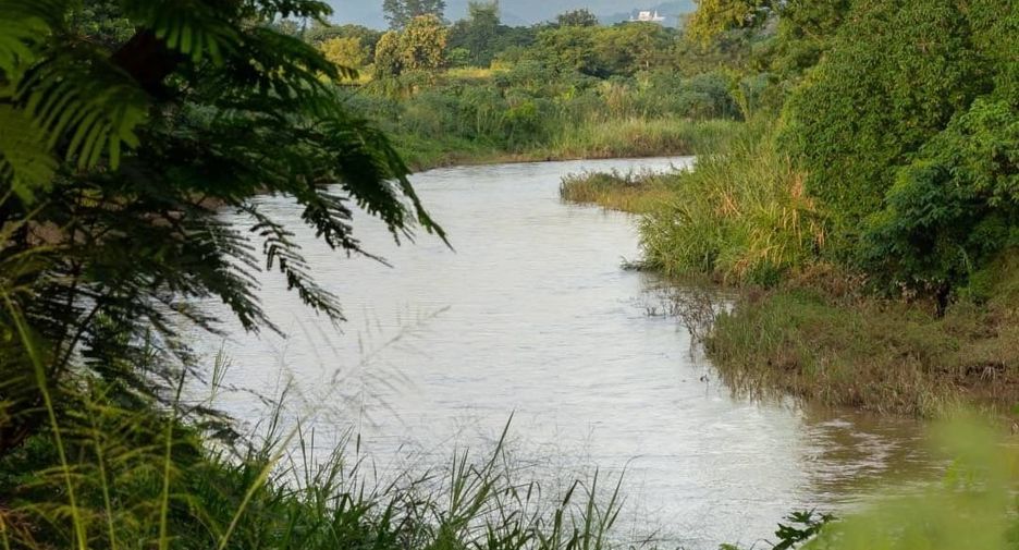 出售 土地 在 Mae Rim, Chiang Mai