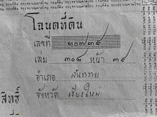 For sale land in San Sai, Chiang Mai