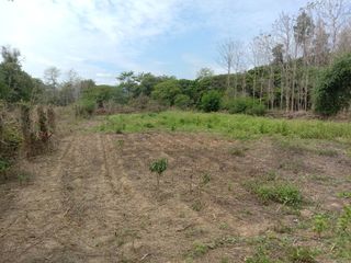 For sale land in San Sai, Chiang Mai