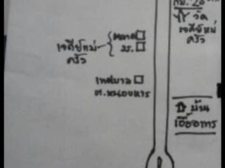For sale land in San Sai, Chiang Mai