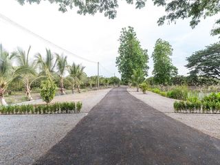 For sale land in San Pa Tong, Chiang Mai