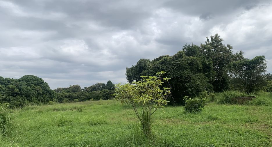 For sale land in Hang Dong, Chiang Mai