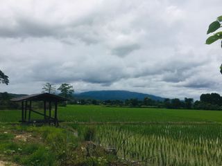 For sale land in Hang Dong, Chiang Mai