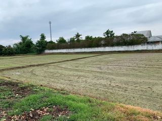 For sale land in San Kamphaeng, Chiang Mai