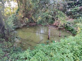 For sale land in San Kamphaeng, Chiang Mai
