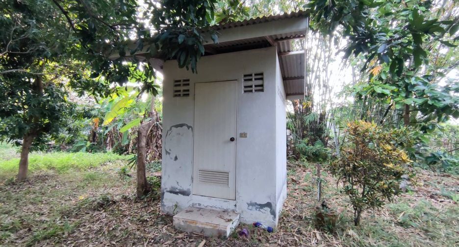 For sale land in San Kamphaeng, Chiang Mai
