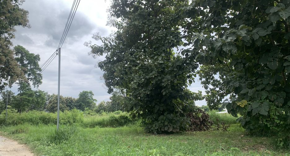 Terreno en venta en Hang Dong, Chiang Mai