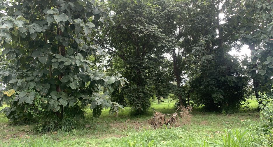 Terreno en venta en Hang Dong, Chiang Mai