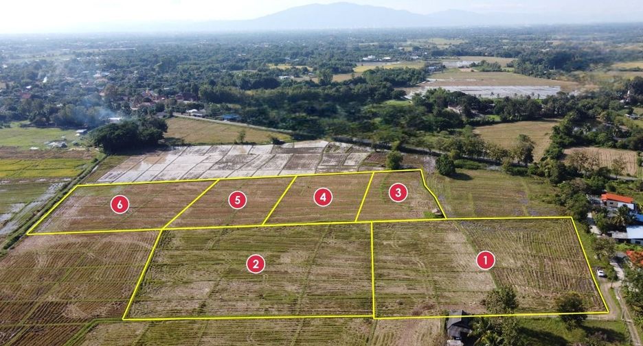 For sale land in San Kamphaeng, Chiang Mai