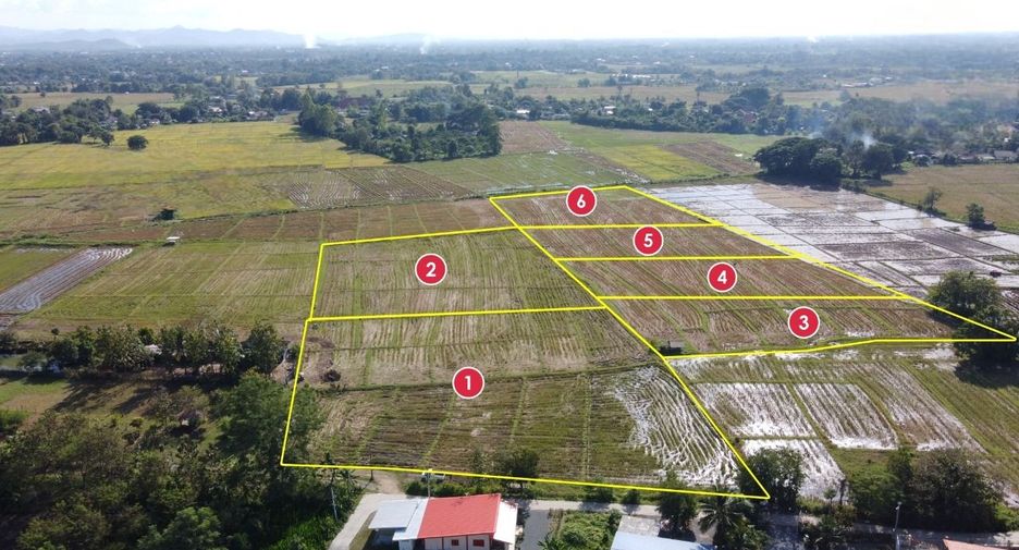 For sale land in San Kamphaeng, Chiang Mai