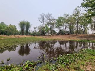For sale land in Mae Taeng, Chiang Mai