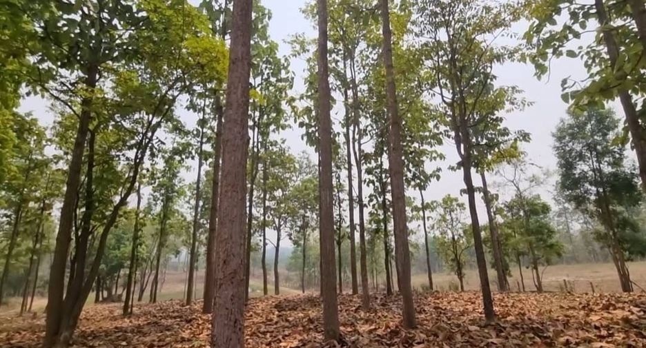 Terreno en venta en Mae Taeng, Chiang Mai