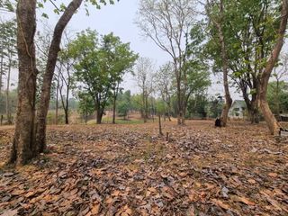 For sale land in Mae Taeng, Chiang Mai