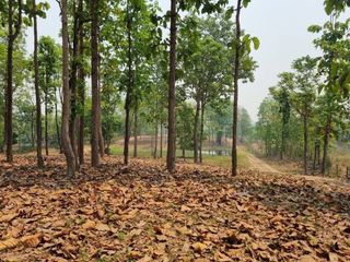 For sale land in Mae Taeng, Chiang Mai