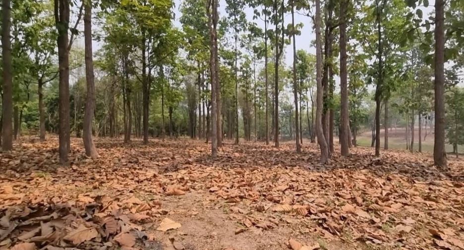Terreno en venta en Mae Taeng, Chiang Mai