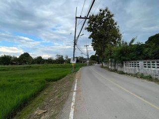 出售 土地 在 San Sai, Chiang Mai