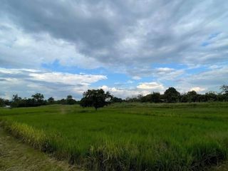 出售 土地 在 San Sai, Chiang Mai
