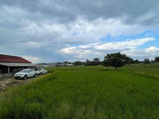出售 土地 在 San Sai, Chiang Mai