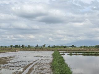 For sale land in San Kamphaeng, Chiang Mai