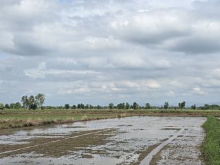 For sale land in San Kamphaeng, Chiang Mai