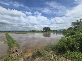 For sale land in San Kamphaeng, Chiang Mai