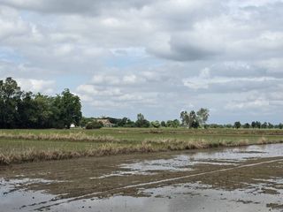 For sale land in San Kamphaeng, Chiang Mai