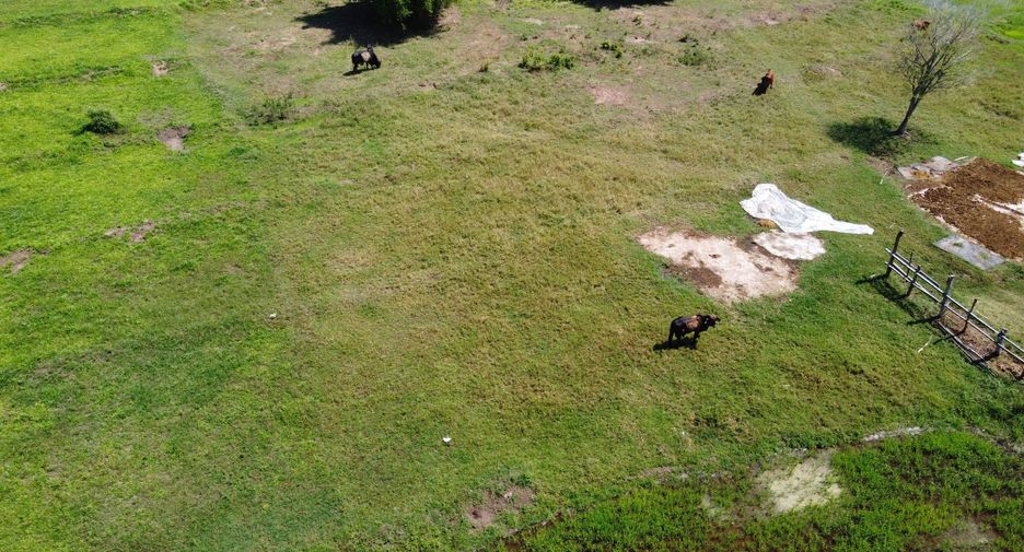 Terreno en venta en Doi Saket, Chiang Mai