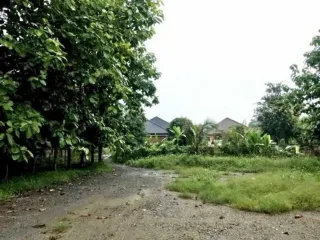 For sale land in Mae Rim, Chiang Mai