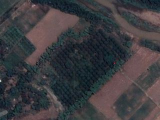 For sale land in Mae Rim, Chiang Mai