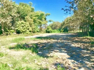 For sale land in Mae Rim, Chiang Mai