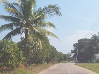 出售 土地 在 Saraphi, Chiang Mai