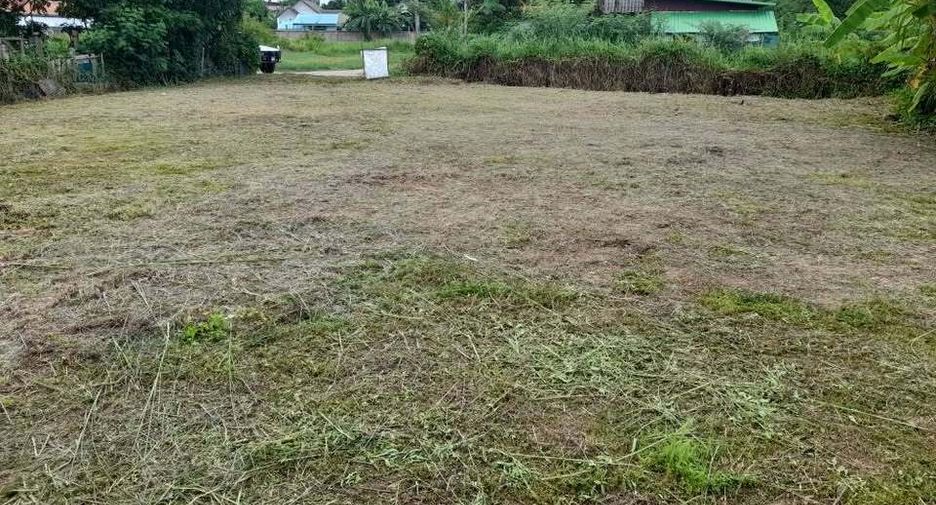 Terreno en venta en San Sai, Chiang Mai