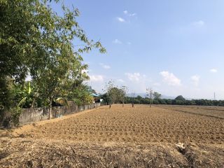 Grundstück zum Kauf in Mae Rim, Chiang Mai
