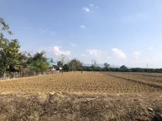 Grundstück zum Kauf in Mae Rim, Chiang Mai