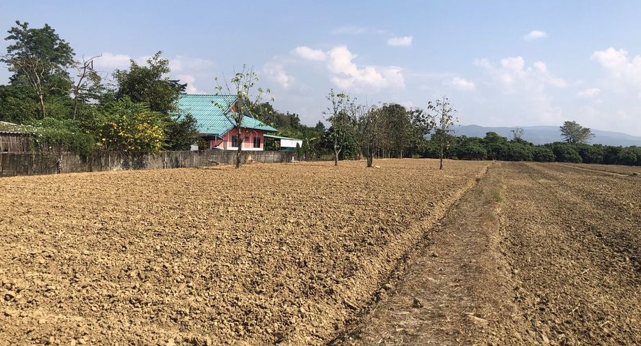 For sale land in Mae Rim, Chiang Mai