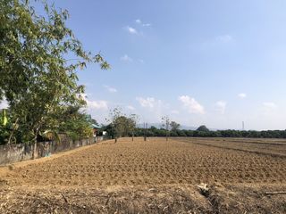 Grundstück zum Kauf in Mae Rim, Chiang Mai