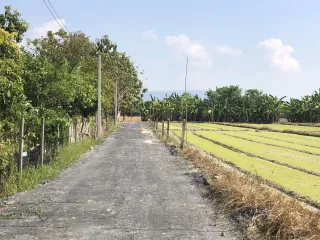 Grundstück zum Kauf in Mae Rim, Chiang Mai