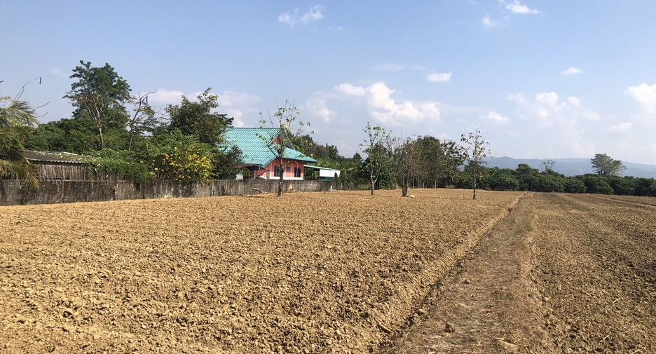For sale land in Mae Rim, Chiang Mai