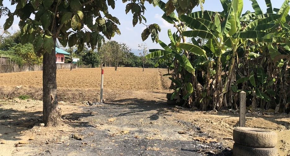 For sale land in Mae Rim, Chiang Mai