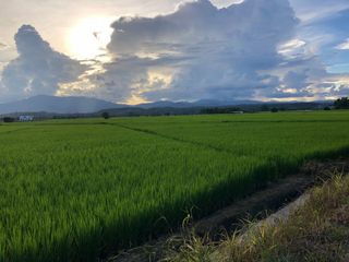 For sale land in Mae Rim, Chiang Mai