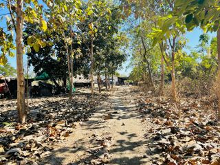 For sale land in Hang Dong, Chiang Mai