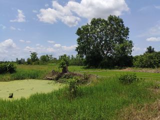 For sale land in Hang Dong, Chiang Mai